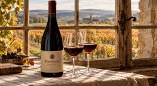 Bouteille de vin et verres dressés pour une dégustation