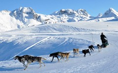 Séjour Musher