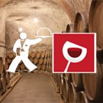 Valise Cadeaux Vins de Bordeaux