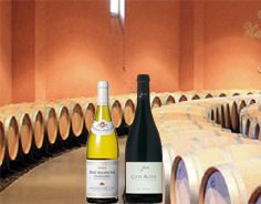 Sélection de vins (cépages au choix)