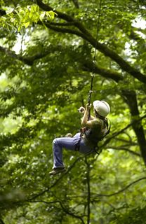 Parcours Aventure en Forêt