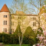 Chambres au château Saint-Didier-de-Formans